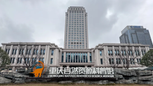 以“数”促效，以“智”革新，泰思助力重庆市自然规划局高效开展工作